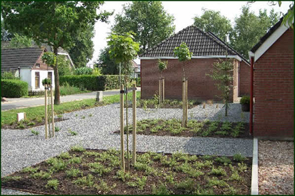 landelijke tuin